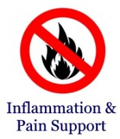 Inflammation & Pain Support