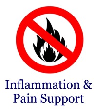 Inflammation & Pain Support