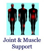 Joint & Muscle Support
