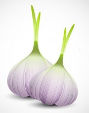 Garlic_Bulbs