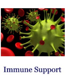 Immune_Support