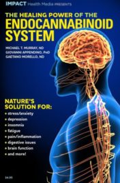 The Healing Power of the Endocannabinoid System